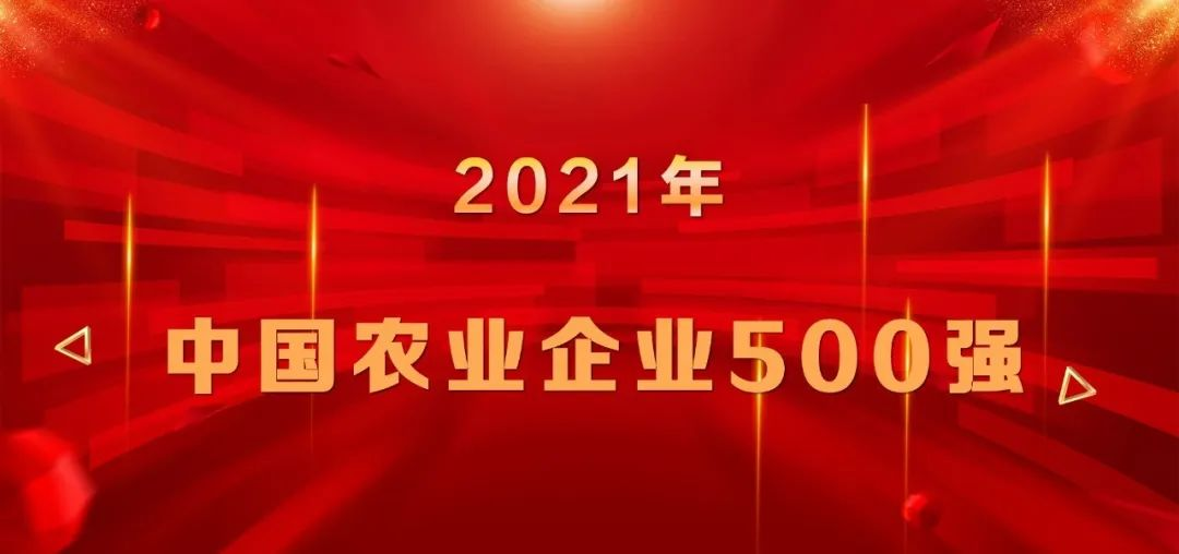 上榜|山東三星集團(tuán)再登中國(guó)農(nóng)業(yè)企業(yè)500強(qiáng)榜單